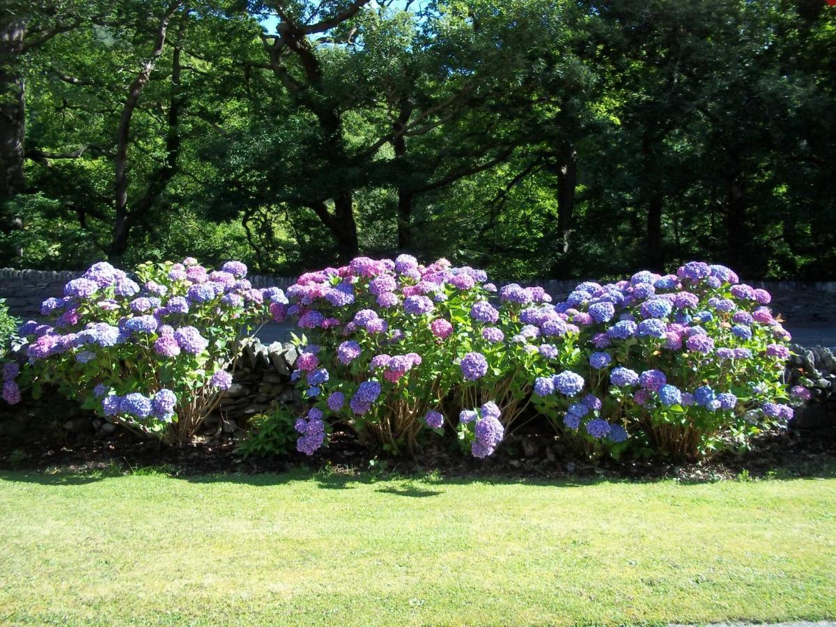 Glenwood Guesthouse Betws-Y-Coed Ngoại thất bức ảnh